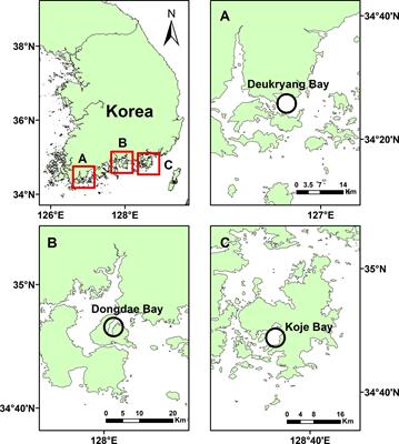 Increased Coastal Nutrient Loading Enhances Reproductive Intensity of Zostera marina: Implications for Seagrass Meadow Resilience